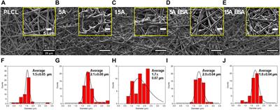 Facile method for immobilization of protein on elastic nanofibrous polymer membranes